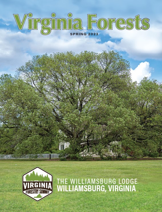Virginia Forests Magazine